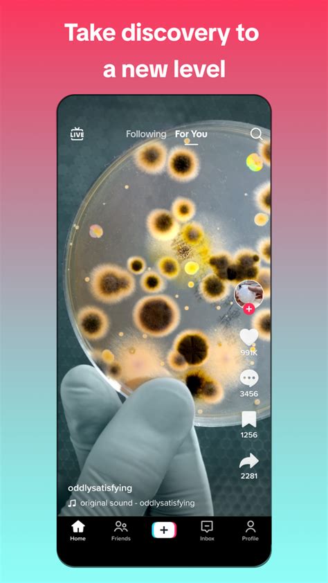 tik tok apk mirror|TikTok 34.0.2 (arm64.
